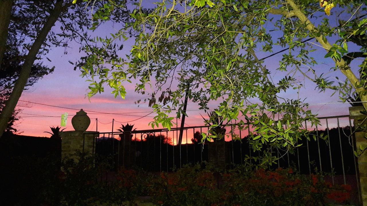 Photo of Outdoor in Pollutri