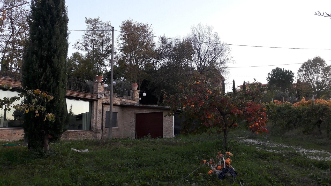 Photo of Outdoor in Pollutri