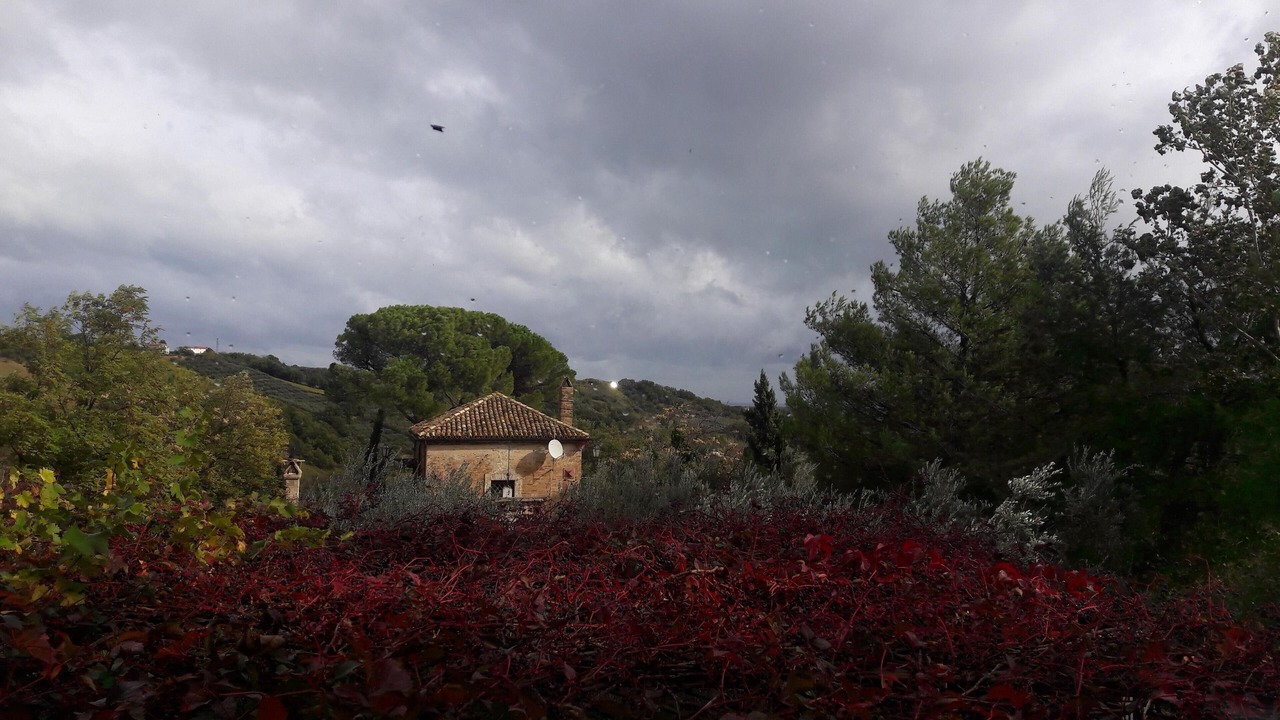 Photo of Outdoor in Pollutri
