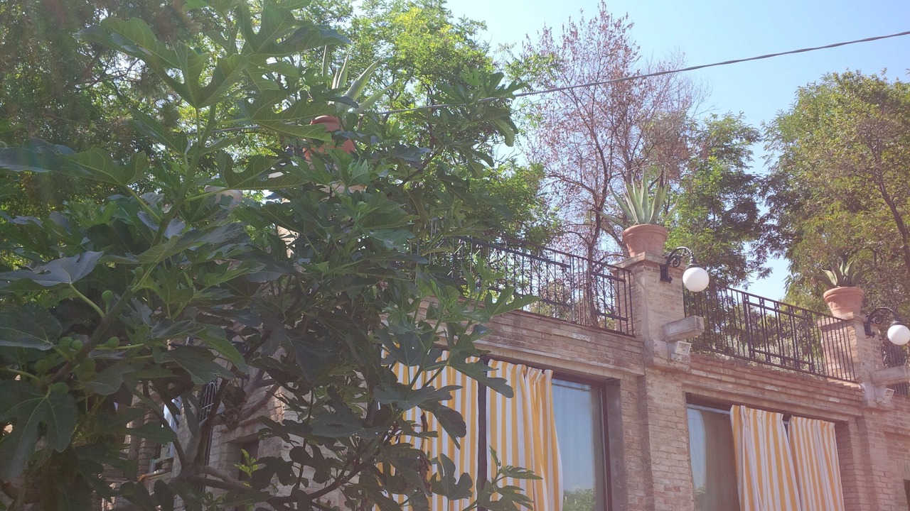 Photo of Outdoor in Pollutri