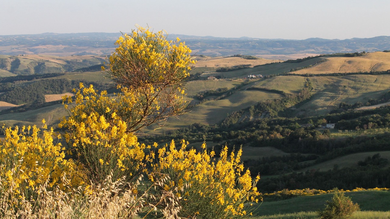Photo of Outdoor in Radicofani