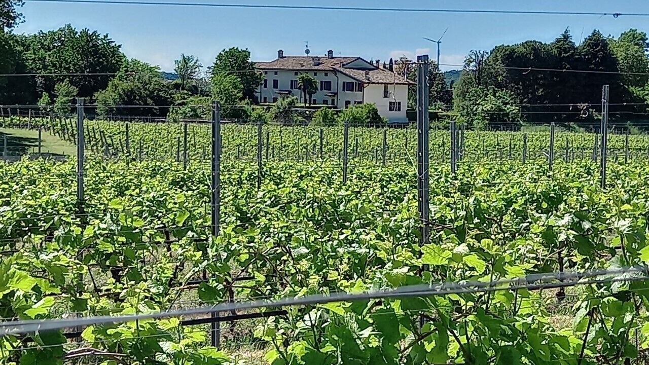 Photo of Outdoor in Rivoli Veronese