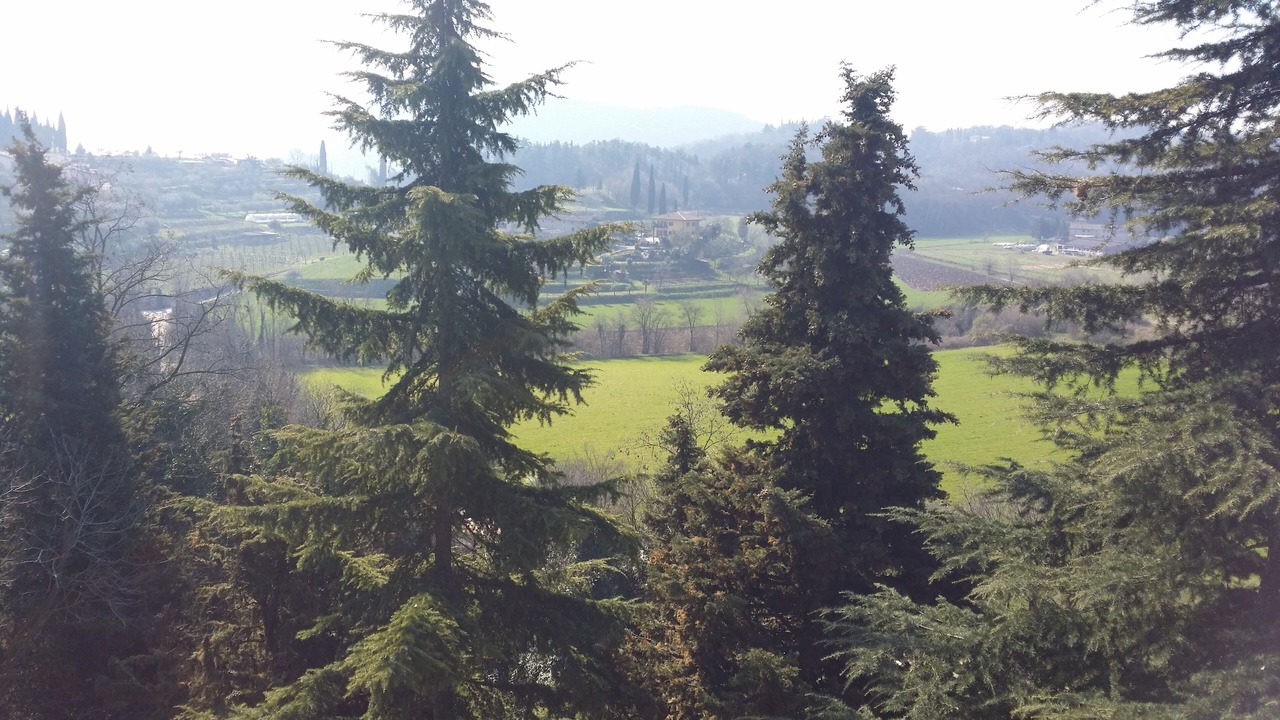 Photo of Others in Costermano