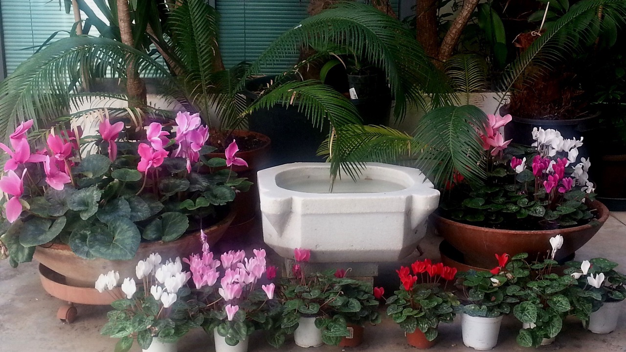 Photo of Outdoor in Monti