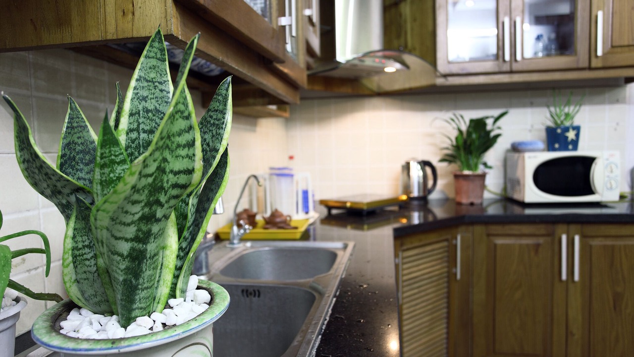 Photo of Kitchen in Nhat Tan