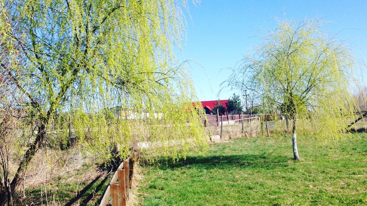 Photo of Outdoor in Bran
