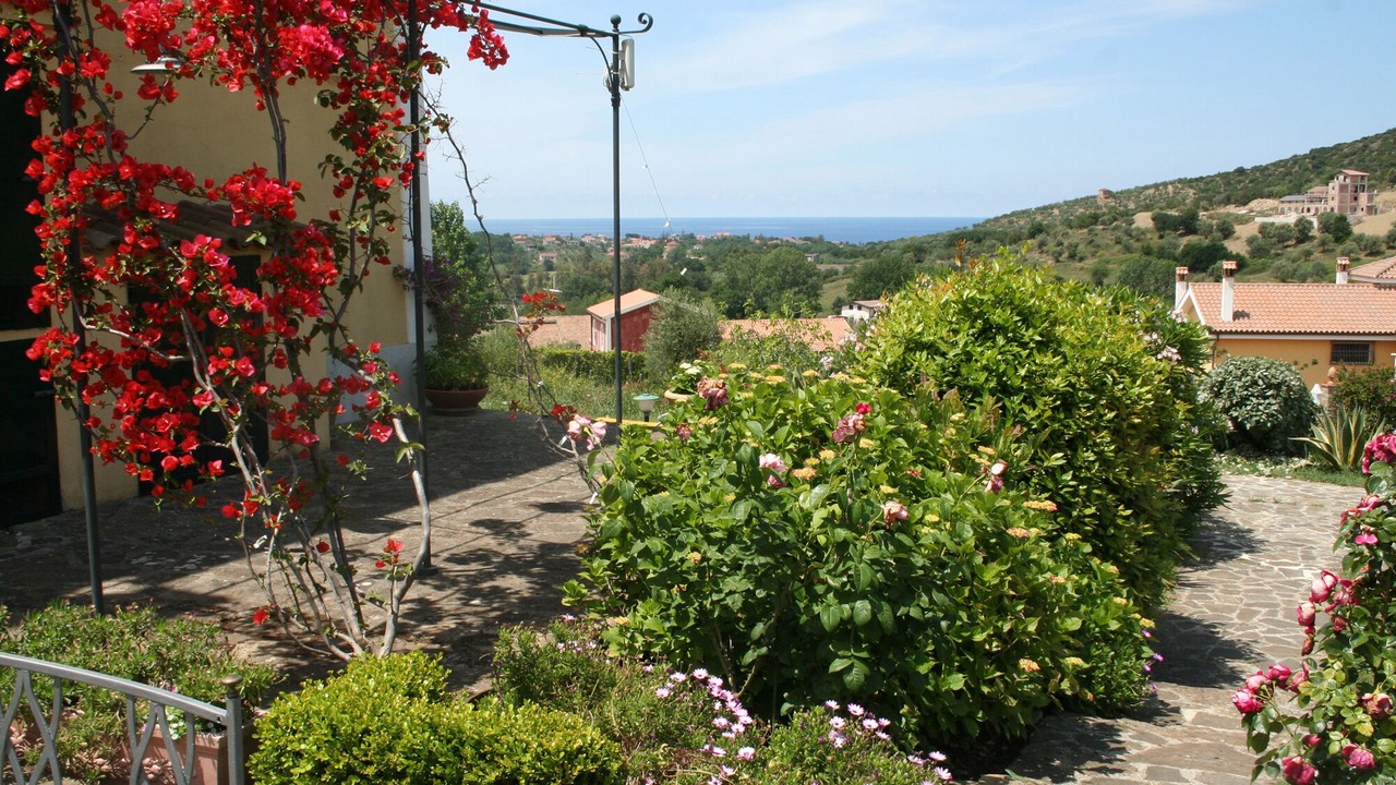 Photo of Outdoor in Alani