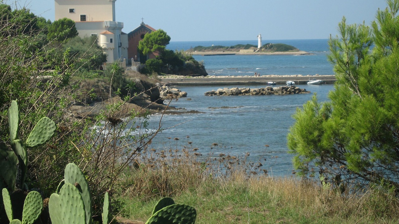 Photo of Others in Alani