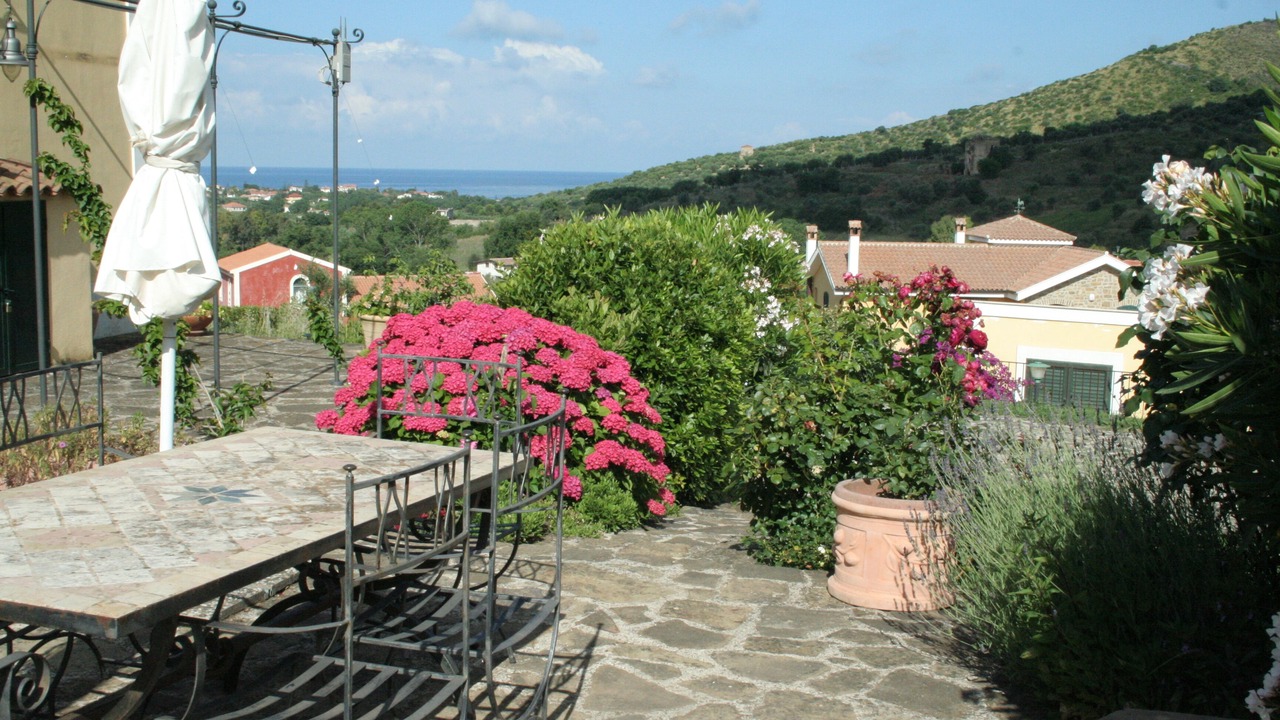 Photo of Outdoor in Alani