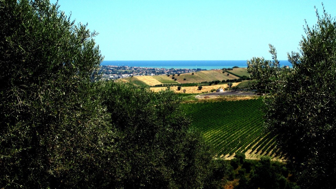 Photo of Outdoor in Morro dʼOro