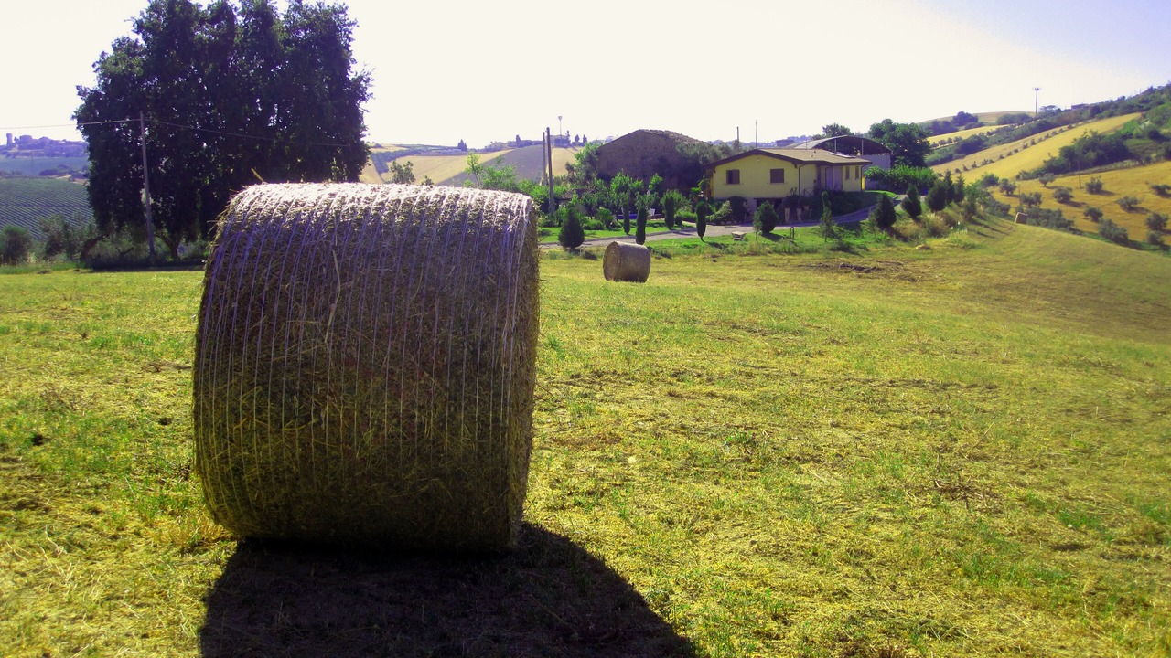 Photo of Outdoor in Morro dʼOro