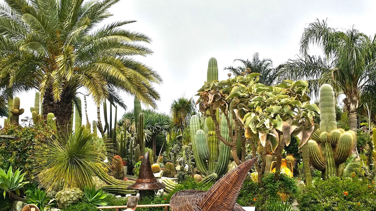 Photo of Outdoor in Forio