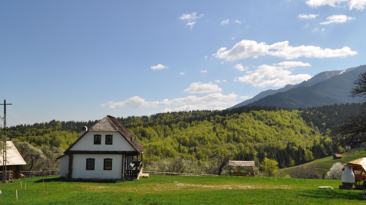 Photo of Outdoor in Bran