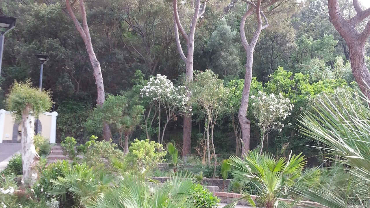 Photo of Outdoor in Lacco Ameno