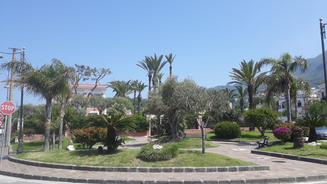 Photo of Outdoor in Lacco Ameno