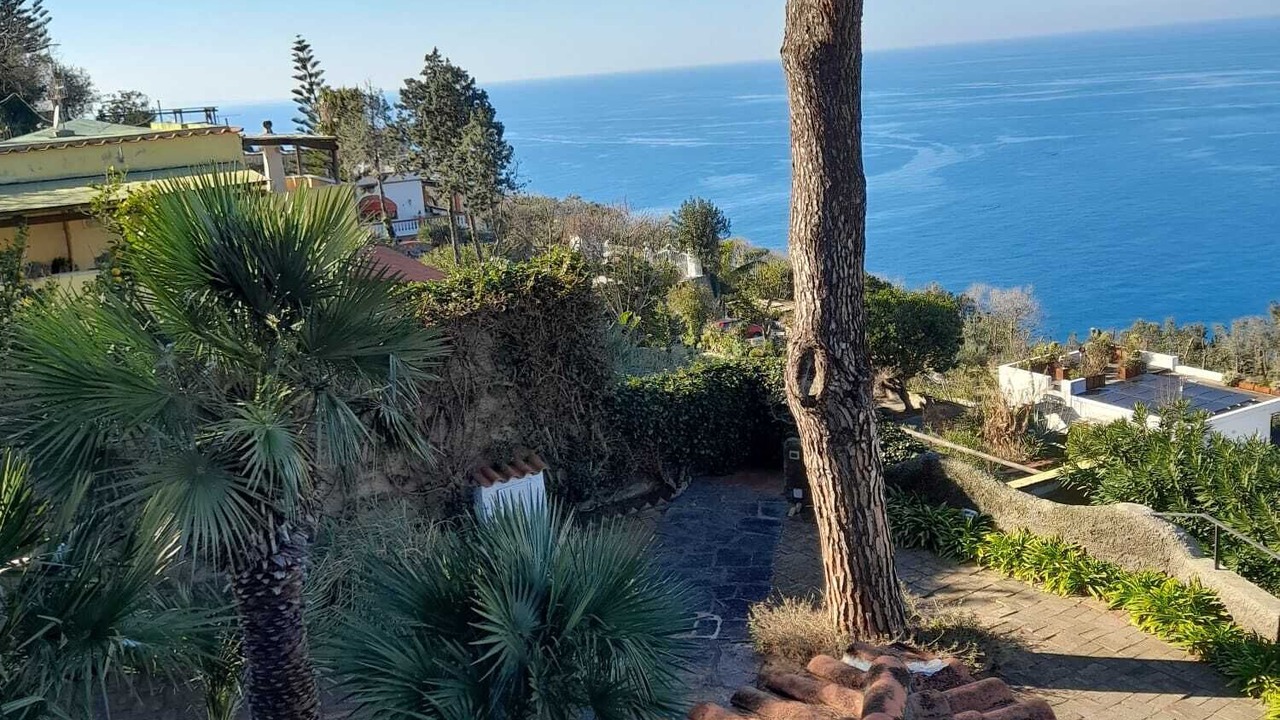 Photo of Outdoor in Panza