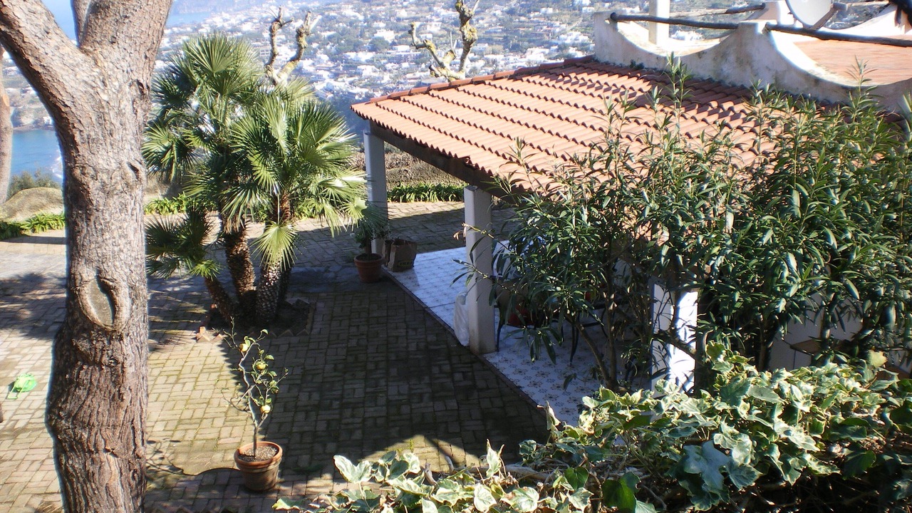 Photo of Outdoor in Panza