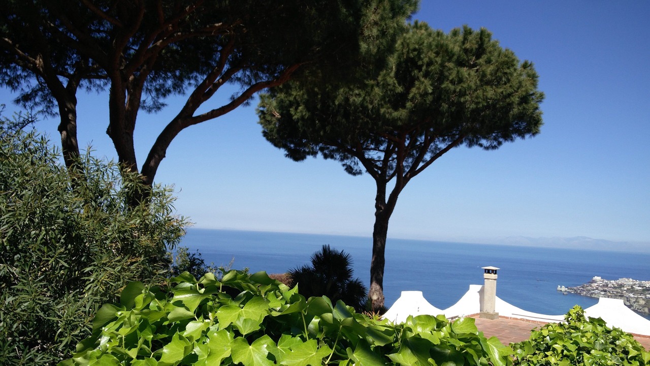 Photo of Outdoor in Panza