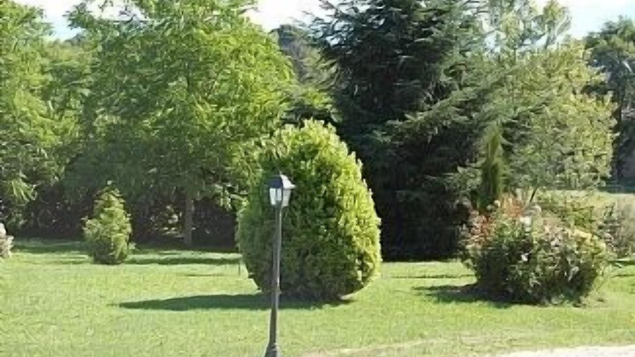 Photo of Outdoor in Bagnoregio