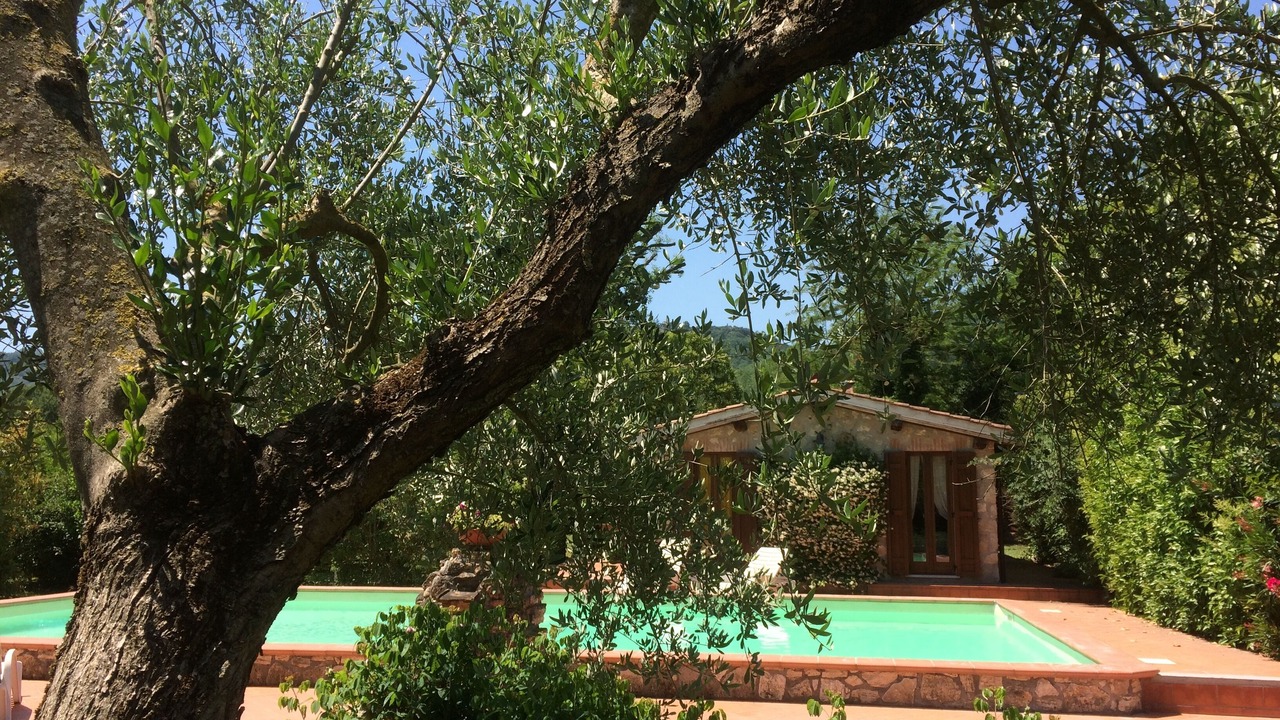 Photo of Outdoor in Chia