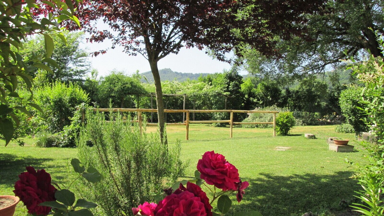 Photo of Outdoor in Chia