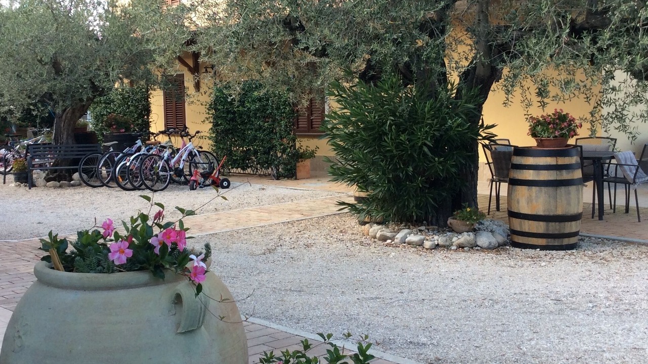Photo of Patio Balcony in Pianella