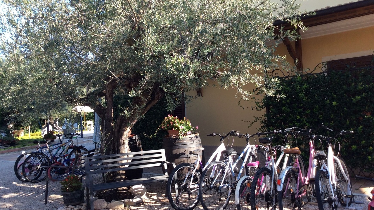 Photo of Outdoor in Pianella