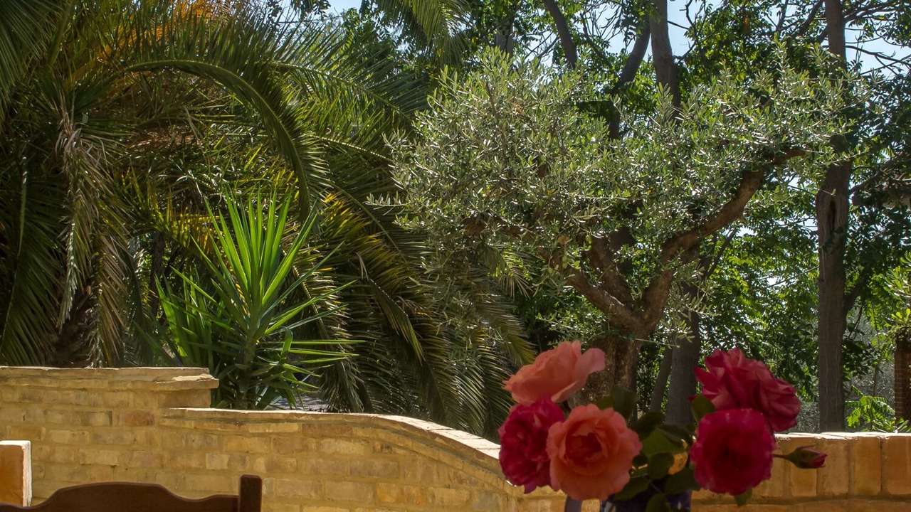 Photo of Outdoor in Torino di Sangro
