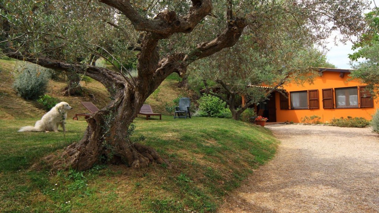 Photo of Outdoor in Montefino