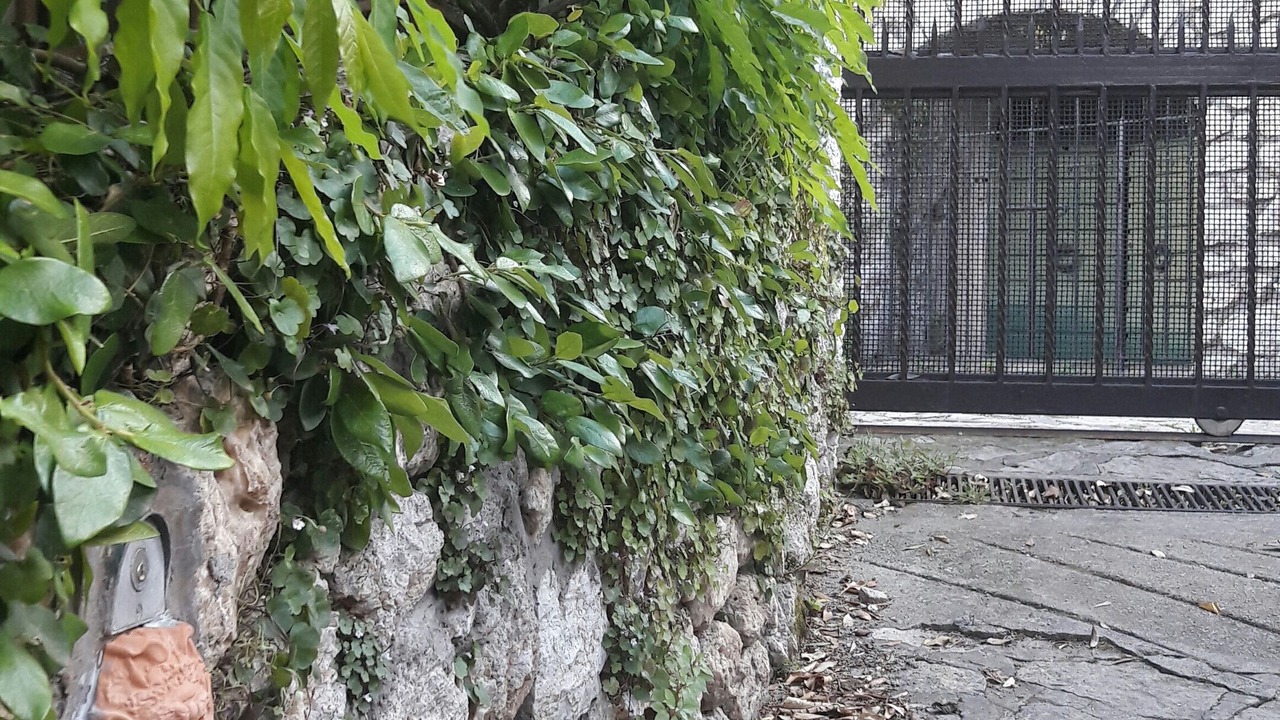 Photo of Outdoor in San Felice Circeo