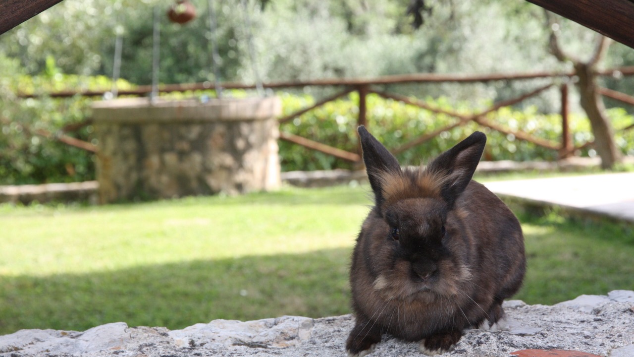 Photo of Outdoor in Casperia