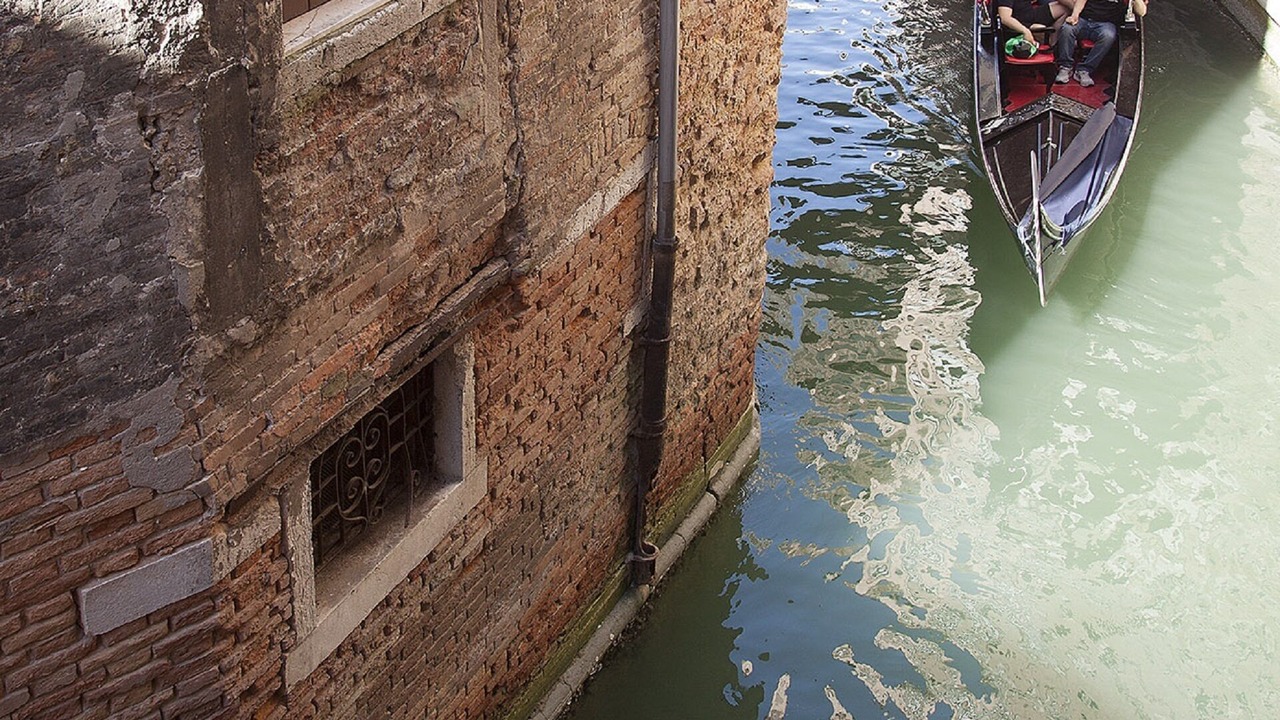 Photo of Others in Castello