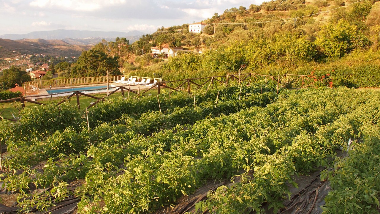 Photo of Outdoor in Castellabate
