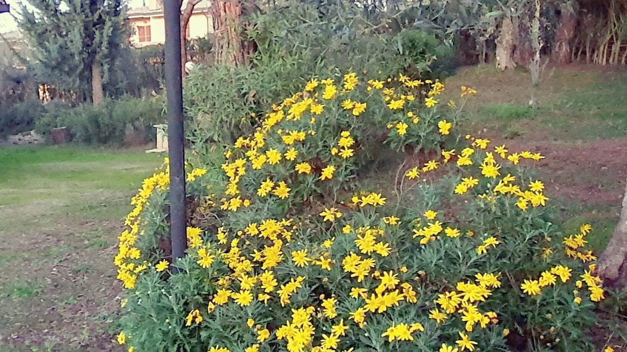 Photo of Outdoor in San Feliciano