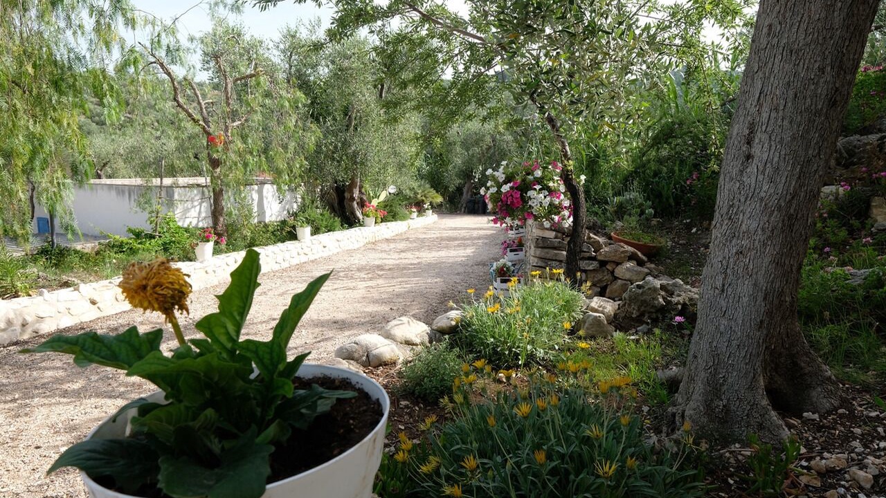 Photo of Outdoor in Chiesiola