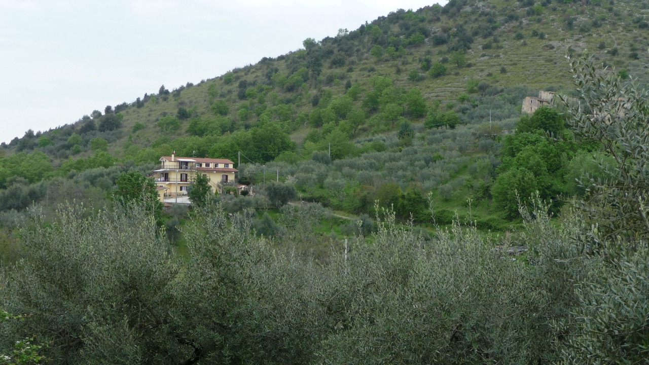 Photo of Outdoor in Colfelice