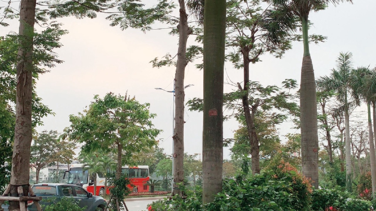 Photo of Outdoor in Ha Long