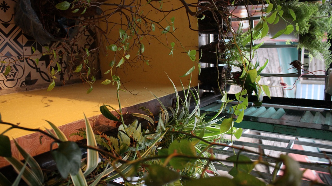Photo of Patio Balcony in Hang Dao