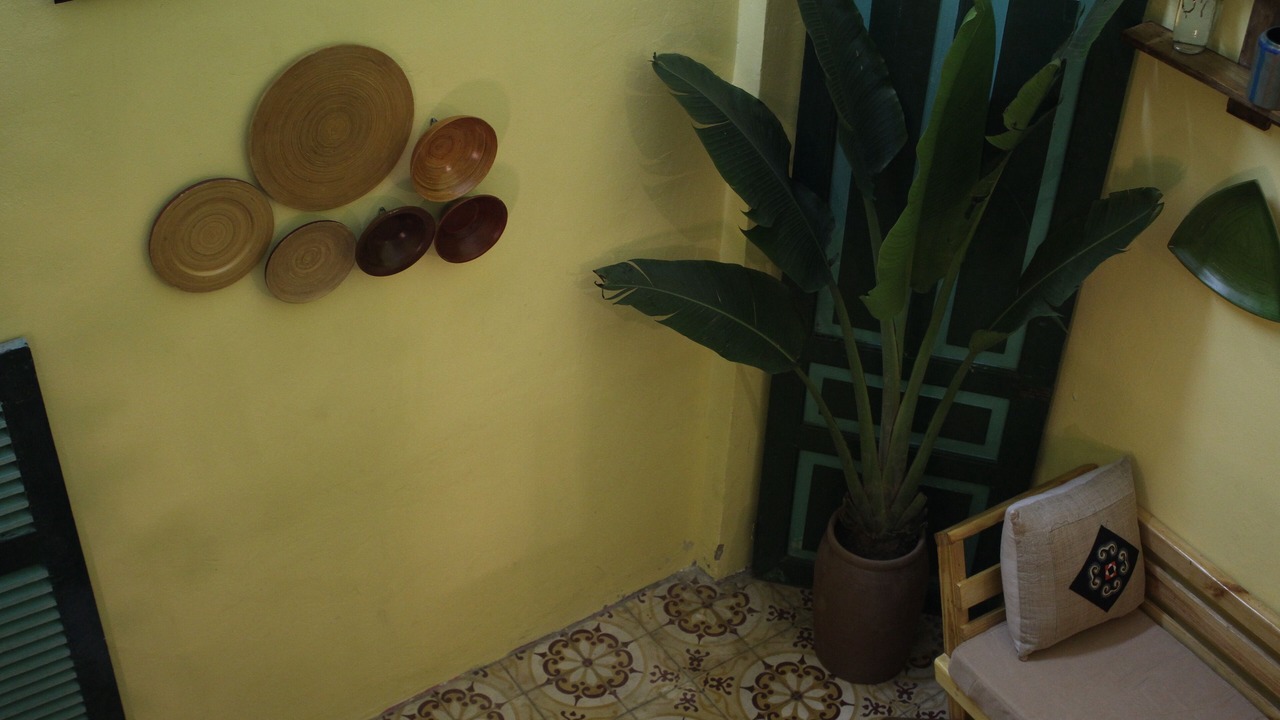 Photo of Others in Hang Dao