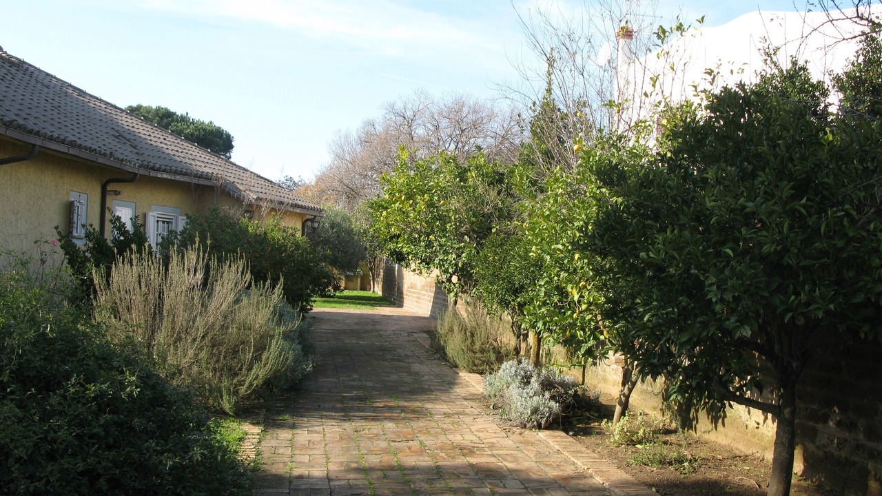 Photo of Outdoor in Ardea