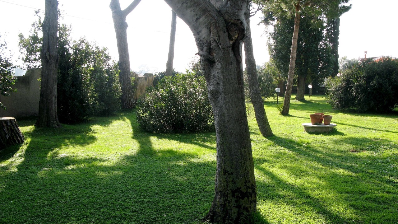 Photo of Outdoor in Ardea