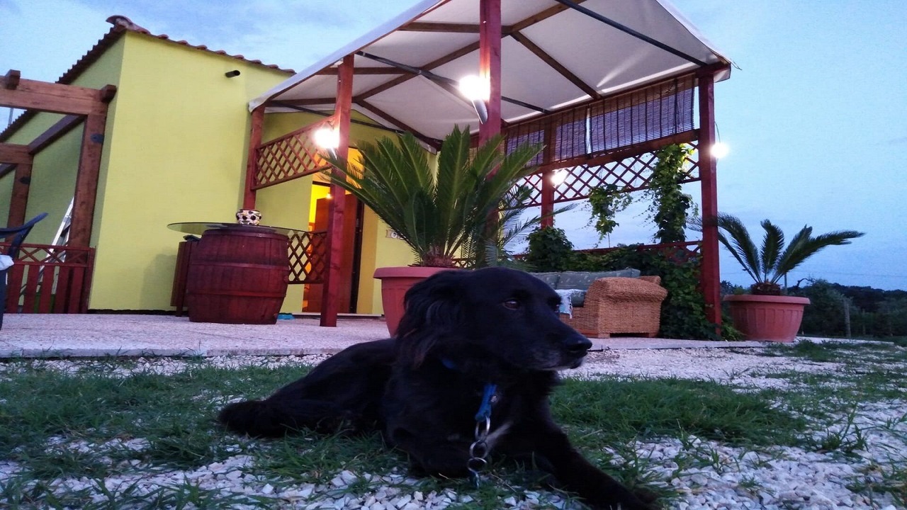 Photo of Outdoor in Palombara Sabina