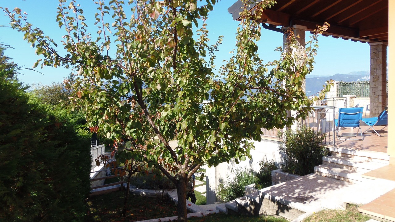 Photo of Outdoor in San Zeno di Montagna