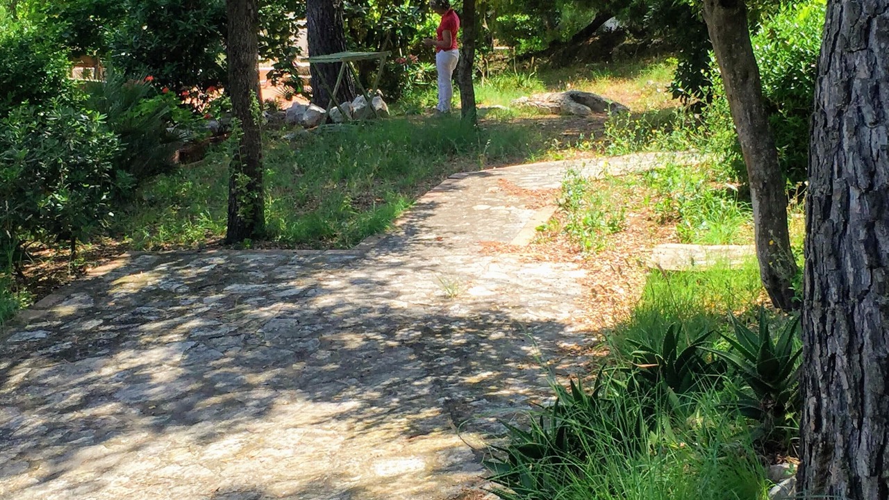 Photo of Outdoor in Selvacava