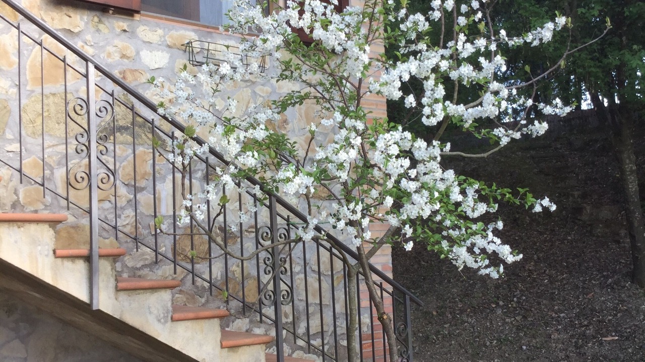 Photo of Outdoor in Casciano di Murlo