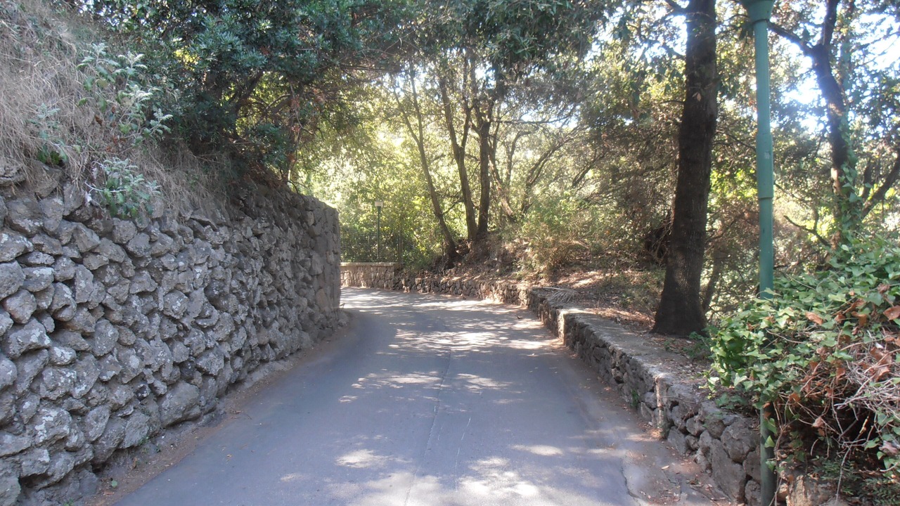 Photo of Others in Lacco Ameno