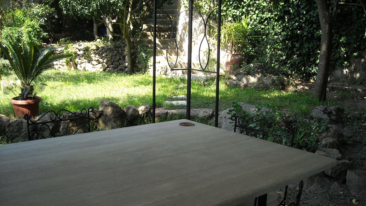 Photo of Others in Lacco Ameno