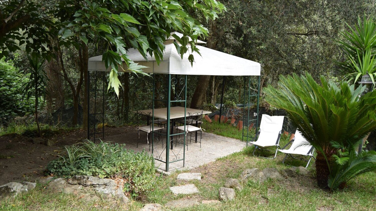 Photo of Others in Lacco Ameno
