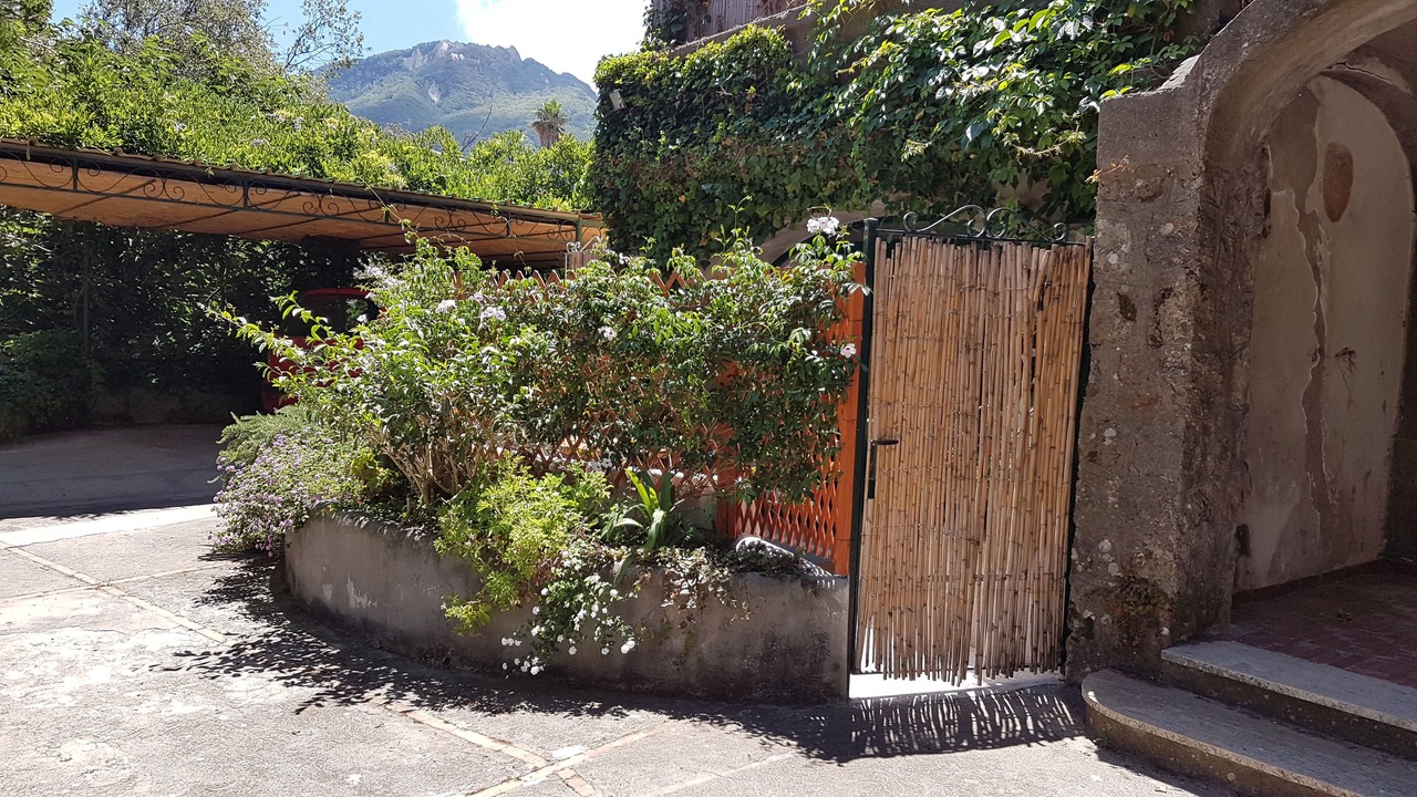 Photo of Outdoor in Lacco Ameno
