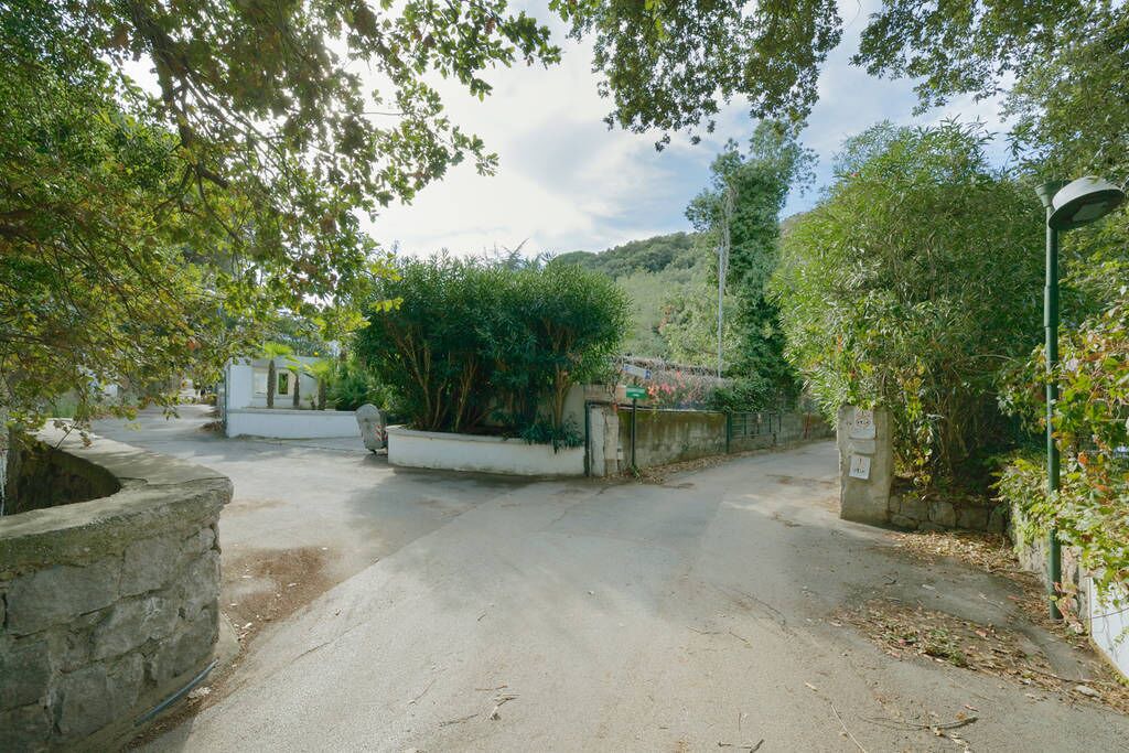 Photo of Others in Lacco Ameno